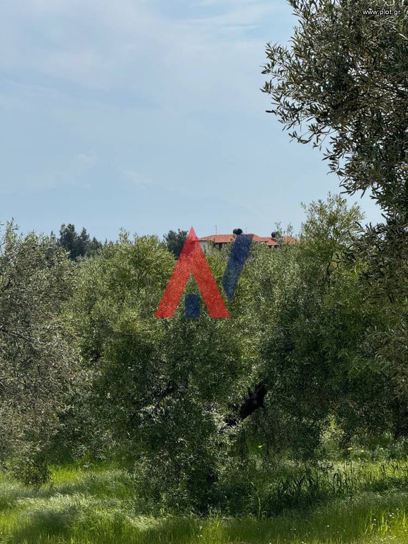 Αγροτεμάχια 2.700 τ.μ. προς πώληση, Κορτήρι