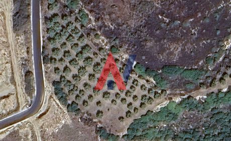 Αγροτεμάχια 3.700τ.μ. για πώληση-Σιθωνία » Άγιος αθανάσιος