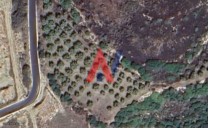 Αγροτεμάχια 3.700 τ.μ. για πώληση, Χαλκιδική, Σιθωνία