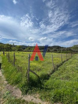 Αγροτεμάχια 700τ.μ. για πώληση-Σιθωνία » Όρμος παναγίας