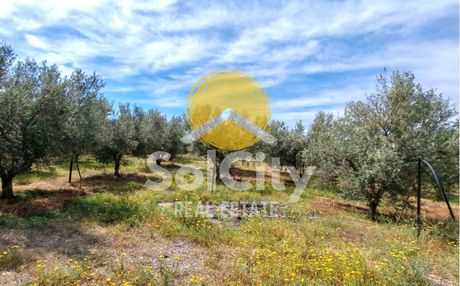 Land plot 4.191sqm for sale-Xilokastro » Dendro