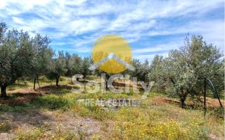 Οικόπεδο 4.191 τ.μ. για πώληση