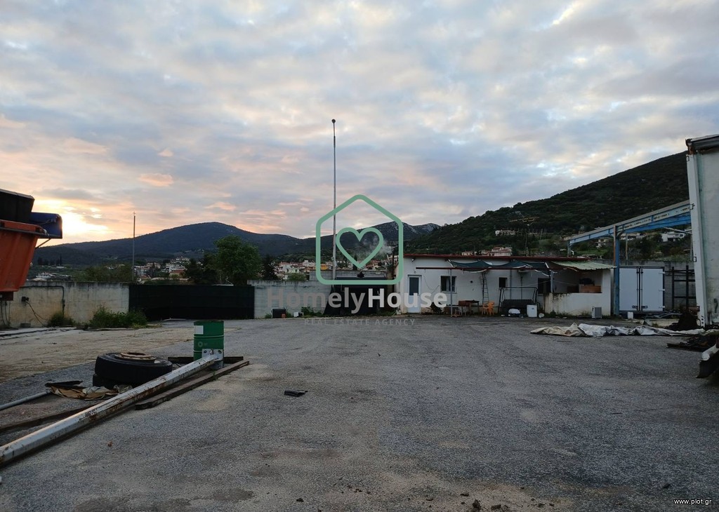 Επαγγελματικό 200 τ.μ. πρός ενοικίαση, Κορινθία, Τενέα