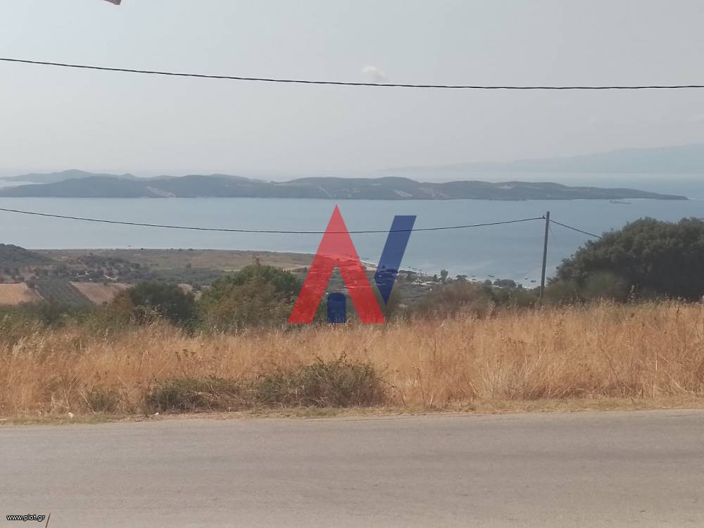 Αγροτεμάχια 500 τ.μ. προς πώληση, Ιερισσός