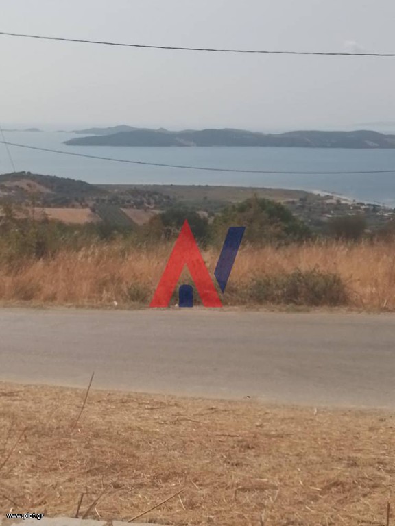 Αγροτεμάχια 500 τ.μ. προς πώληση, Ιερισσός