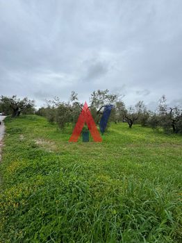 Parcel 5.000sqm for sale-Kassandra » Afitos