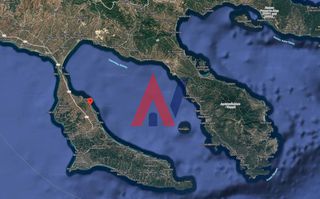 Αγροτεμάχια 5.000 τ.μ. προς πώληση, Άφυτος-thumb-1