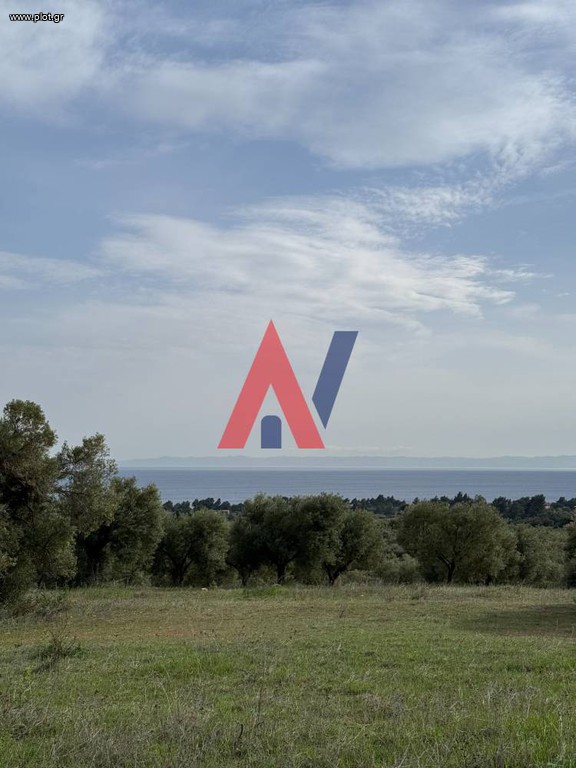 Αγροτεμάχια 10.000 τ.μ. προς πώληση, Νικήτη