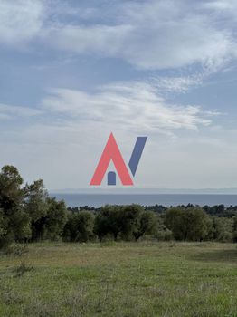 Parcel 10.000sqm for sale-Sithonia » Nikiti