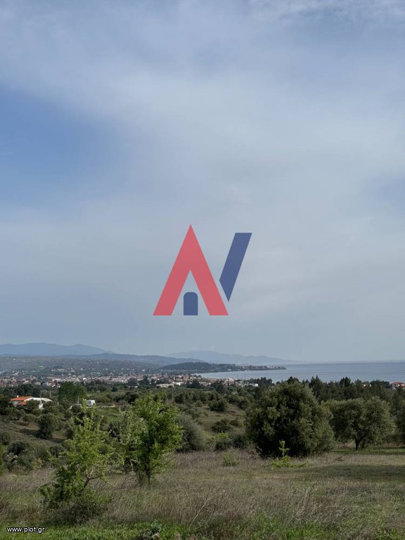 Αγροτεμάχια 20.000 τ.μ. προς πώληση, Νικήτη