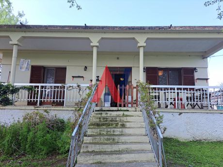 Μονοκατοικία 120τ.μ. για πώληση-Αξιός » Βραχιά