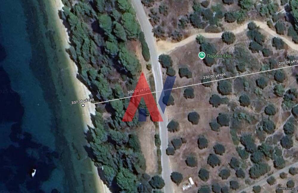 Αγροτεμάχια 4.200 τ.μ. προς πώληση, Ελιά Σιθωνίας