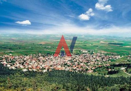 Μονοκατοικία 235τ.μ. για πώληση-Ερυθρές » Κέντρο