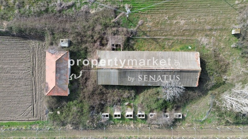 Αγροτεμάχια 7.818 τ.μ. προς πώληση, Πέρνη