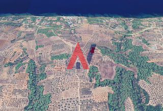 Αγροτεμάχια 28.000 τ.μ. για πώληση