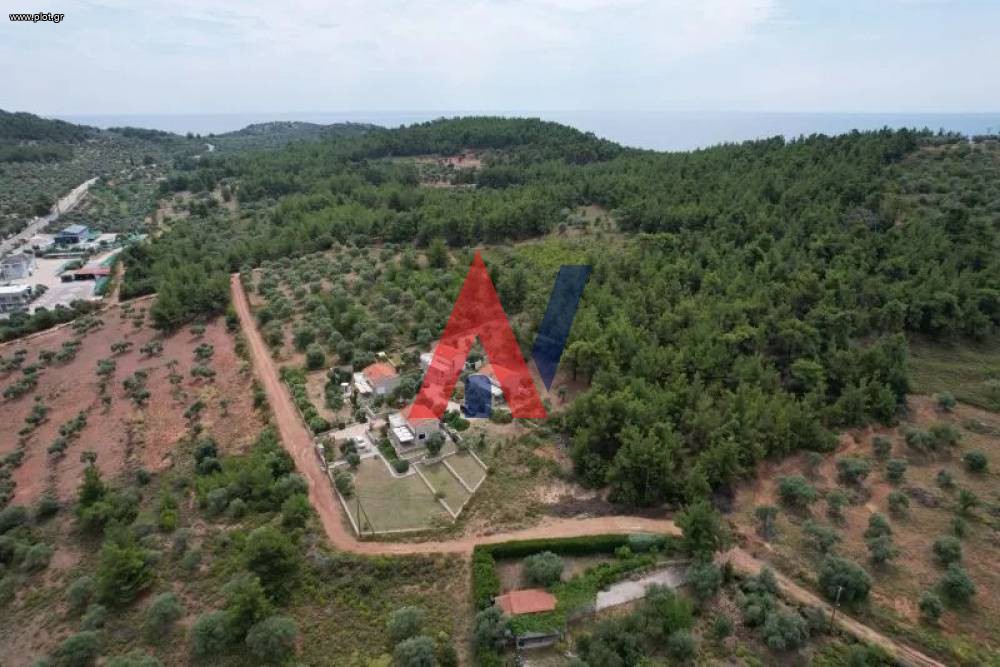 Αγροτεμάχια 5.586 τ.μ. για πώληση, Ν. Καβάλας, Θάσος