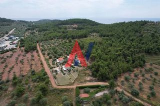 Αγροτεμάχια 5.586 τ.μ. για πώληση