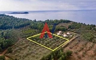 Αγροτεμάχια 5.586 τ.μ. για πώληση, Ν. Καβάλας, Θάσος-thumb-1
