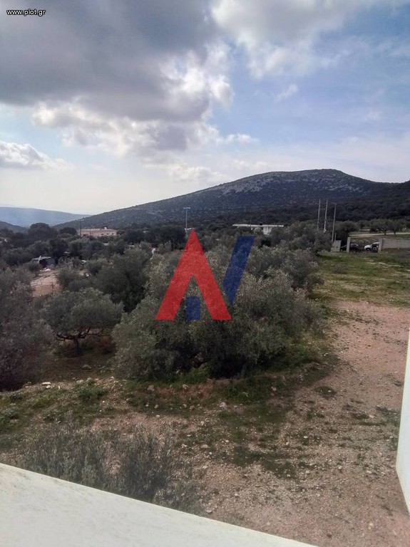 Μονοκατοικία 600 τ.μ. προς πώληση, Σκάρπιζα