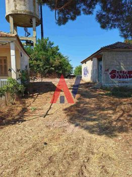 Μονοκατοικία 100τ.μ. για πώληση-Πλατύκαμπος » Χάλκη