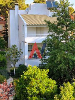 Μονοκατοικία 367 τ.μ. για πώληση