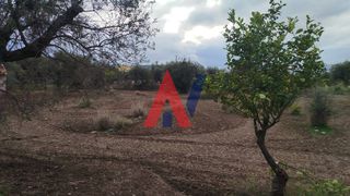 Οικόπεδο 6.386 τ.μ. για πώληση
