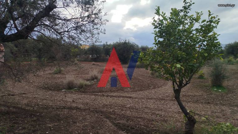 Οικόπεδο 6.386 τ.μ. για πώληση, Αχαΐα, Αιγιάλεια