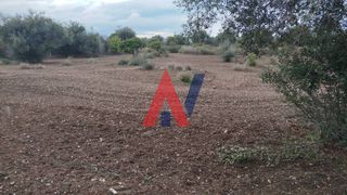 Οικόπεδο 6.386 τ.μ. για πώληση, Αχαΐα, Αιγιάλεια-thumb-5