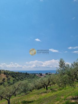 Parcel 9.000sqm for sale-Sithonia » Nikiti