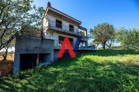 Αγροτεμάχια 8.000τ.μ. για πώληση-Θερμαϊκός » Περαία