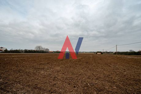 Αγροτεμάχια 15.000τ.μ. για πώληση-Επανομή » Κέντρο