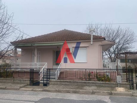 Μονοκατοικία 100τ.μ. για πώληση-Νίκαια » Νέα λεύκη