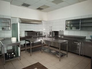 Κατάστημα 187 τ.μ. για πώληση, Ν. Ιωαννίνων, Πασσαρώνα-thumb-23