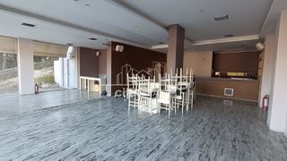 Κατάστημα 187 τ.μ. για πώληση, Ν. Ιωαννίνων, Πασσαρώνα-thumb-11