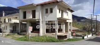 Κτίριο 239 τ.μ. για πώληση, Ν. Ιωαννίνων, Πέραμα-thumb-3