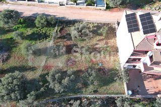 Οικόπεδο 510 τ.μ. προς πώληση, Μονεμβασιά-thumb-14