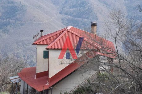 Κτίριο 110τ.μ. για πώληση-Σπερχειάδα » Γαρδίκι