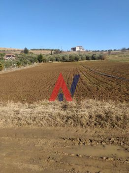 Αγροτεμάχια 7.000τ.μ. για πώληση-Τρίκαλα » Λογγάκι