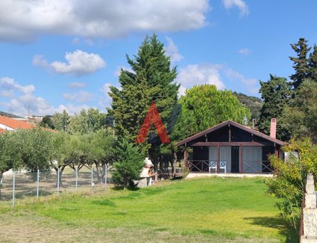 Parcel 1.139sqm for sale-Toroni » Destenika