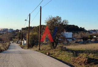 Βίλλα 500 τ.μ. για πώληση
