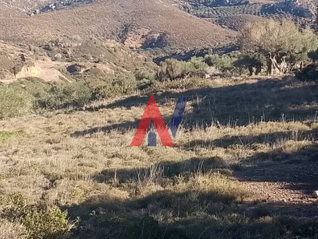 Land plot 6.481 sqm for sale