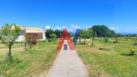 Αγροτεμάχια 4.025τ.μ. για πώληση-Πρέβεζα » Φλάμπουρα