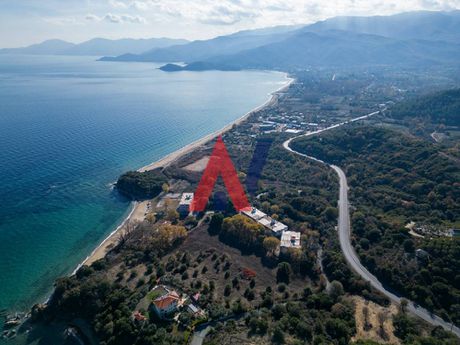 Αγροτεμάχια 16.400τ.μ. για πώληση-Αρναία » Χρυσή ακτή