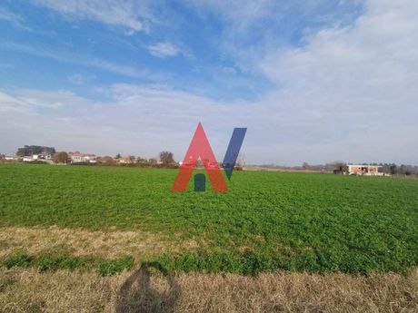 Αγροτεμάχια 4.023τ.μ. για πώληση-Γιαννούλη » Δασοχώρι
