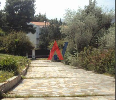Οικόπεδο 21.700τ.μ. για πώληση-Άγιος στέφανος » Καπιτένια