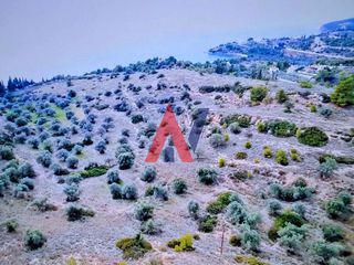 Οικόπεδο 377.575 τ.μ. για πώληση, Αργολίδα, Κρανίδι-thumb-6
