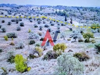 Οικόπεδο 377.575 τ.μ. για πώληση, Αργολίδα, Κρανίδι-thumb-7