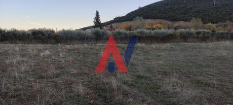 Αγροτεμάχια 103.500τ.μ. για πώληση-Λιτόχωρο » Πλάκα