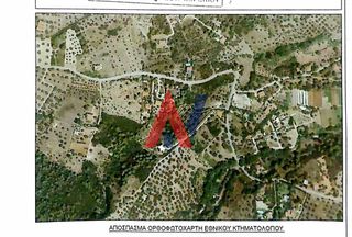 Αγροτεμάχια 3.141 τ.μ. για πώληση