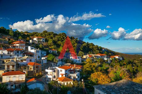 Αγροτεμάχια 250τ.μ. για πώληση-Κύμη » Πετισούνας